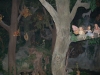 efteling_160_20100902_1196220636