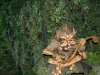 efteling_174_20100902_1405366544