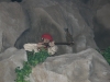 efteling_203_20100902_1298562456